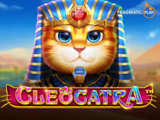 Kedi fiyatı ne kadar. Best casino games for android.61